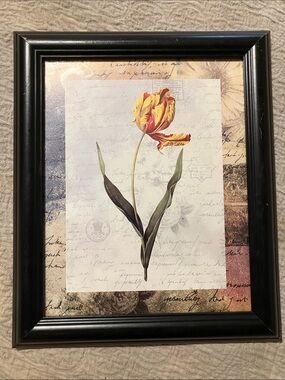 Yellow & Red Tulip Wall Art Print in Black Frame